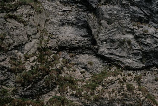 Close-up of a natural mossy rock surface, showcasing rugged textures and earthy tones.