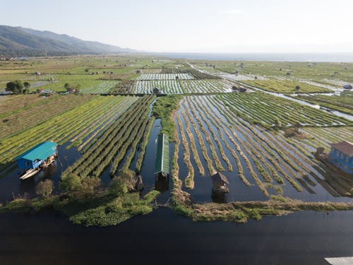 Drone Shot of Wetlands