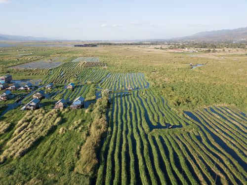 Free Aerial view of traditional floating farms in Shan State, Myanmar, showcasing rural landscapes and agriculture. Stock Photo