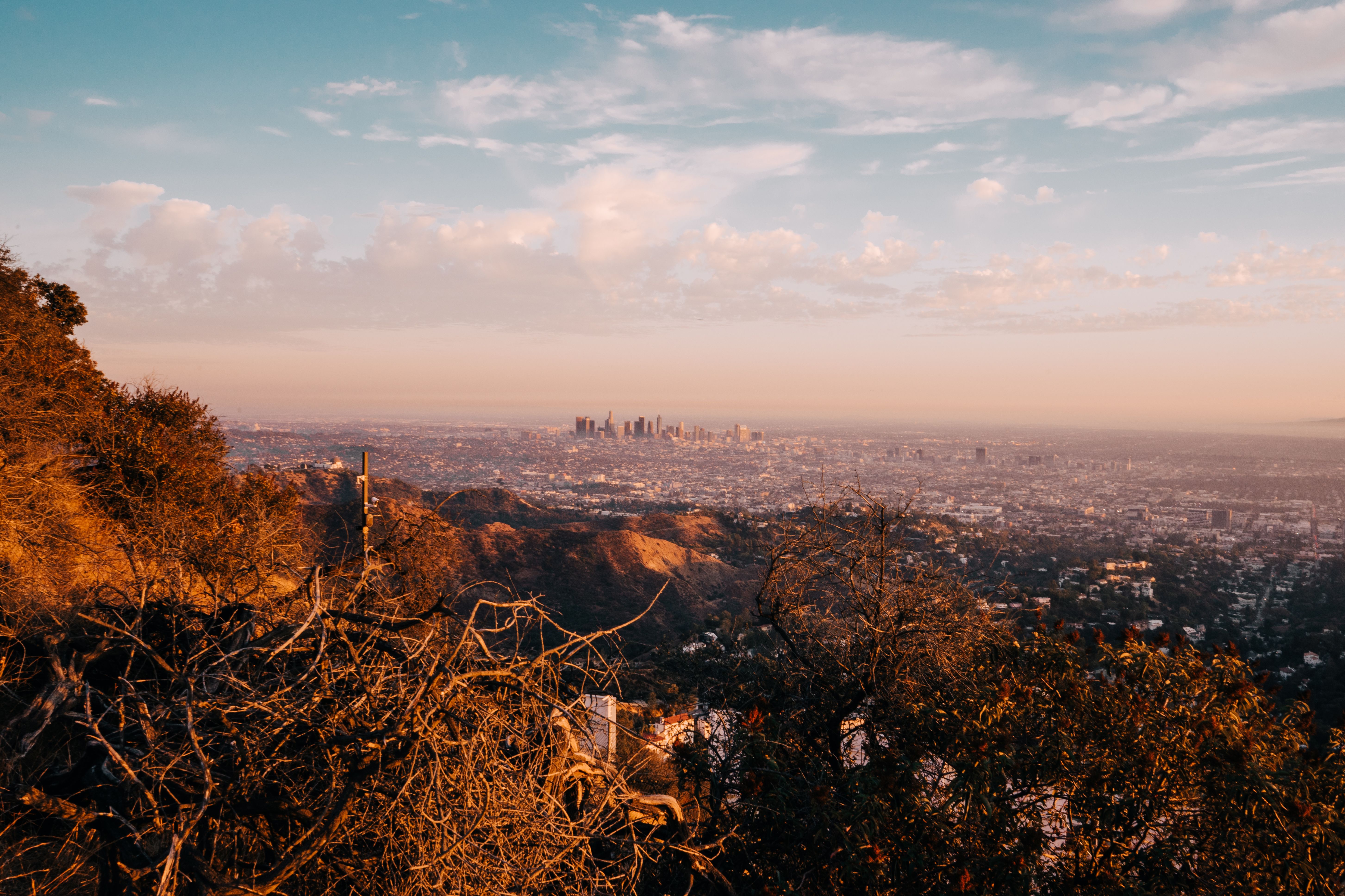 Ultimate Hooray for Hollywood 35-Minute Helicopter Tour Review: The Ultimate LA Experience Review 2026 - A scenic aerial shot of Los Angeles skyline framed by fall foliage under a soft morning sky.