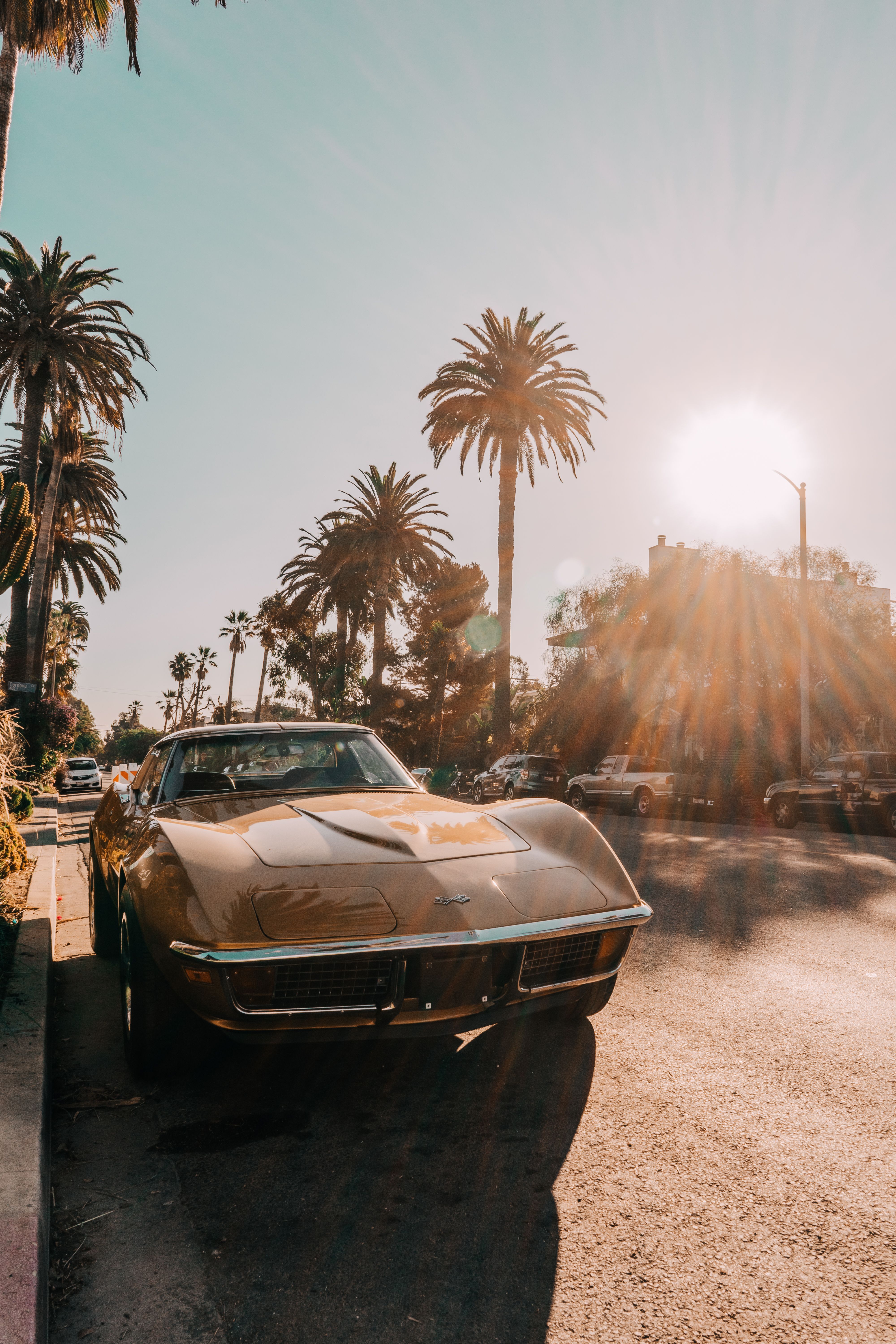 Cars Parked on the Side of the Road · Free Stock Photo