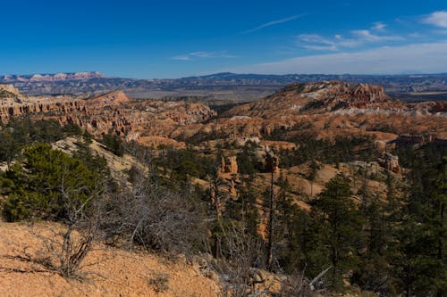 The Bryce Canyon National Park