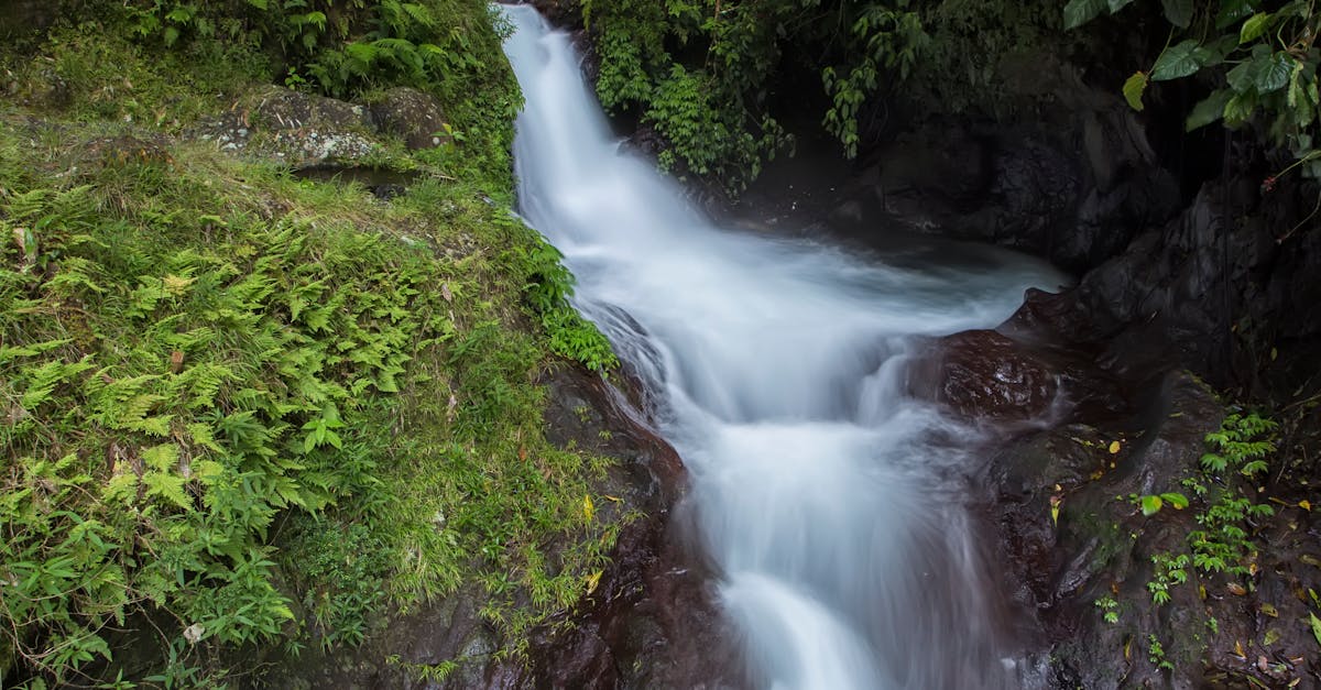 Water Falls Between Plant and Tree during Daytime in Time Lapse Photo