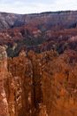 Brown Geological Formation at Bryce Canyon National Park