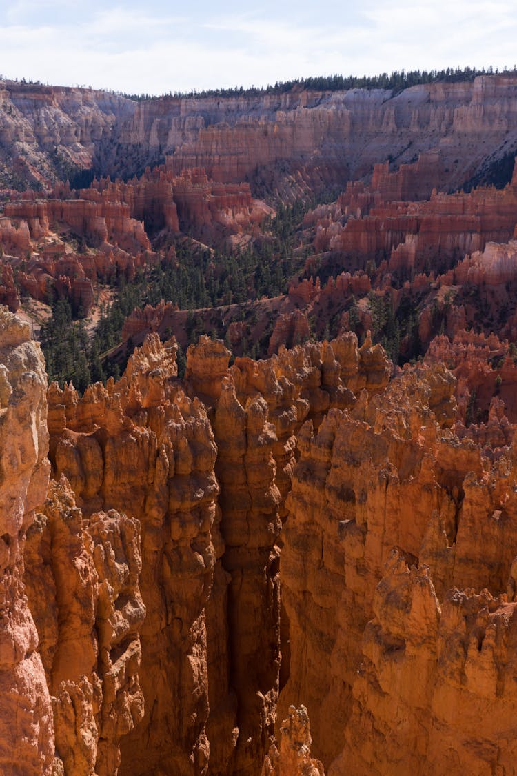 Brown Geological Formation At Bryce Canyon National Park