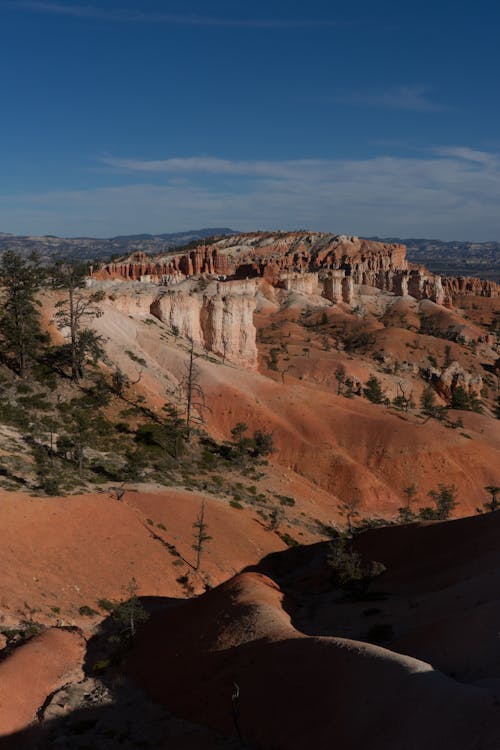 Gratis lagerfoto af baggrund, blå, bryce canyon nationalpark Lagerfoto
