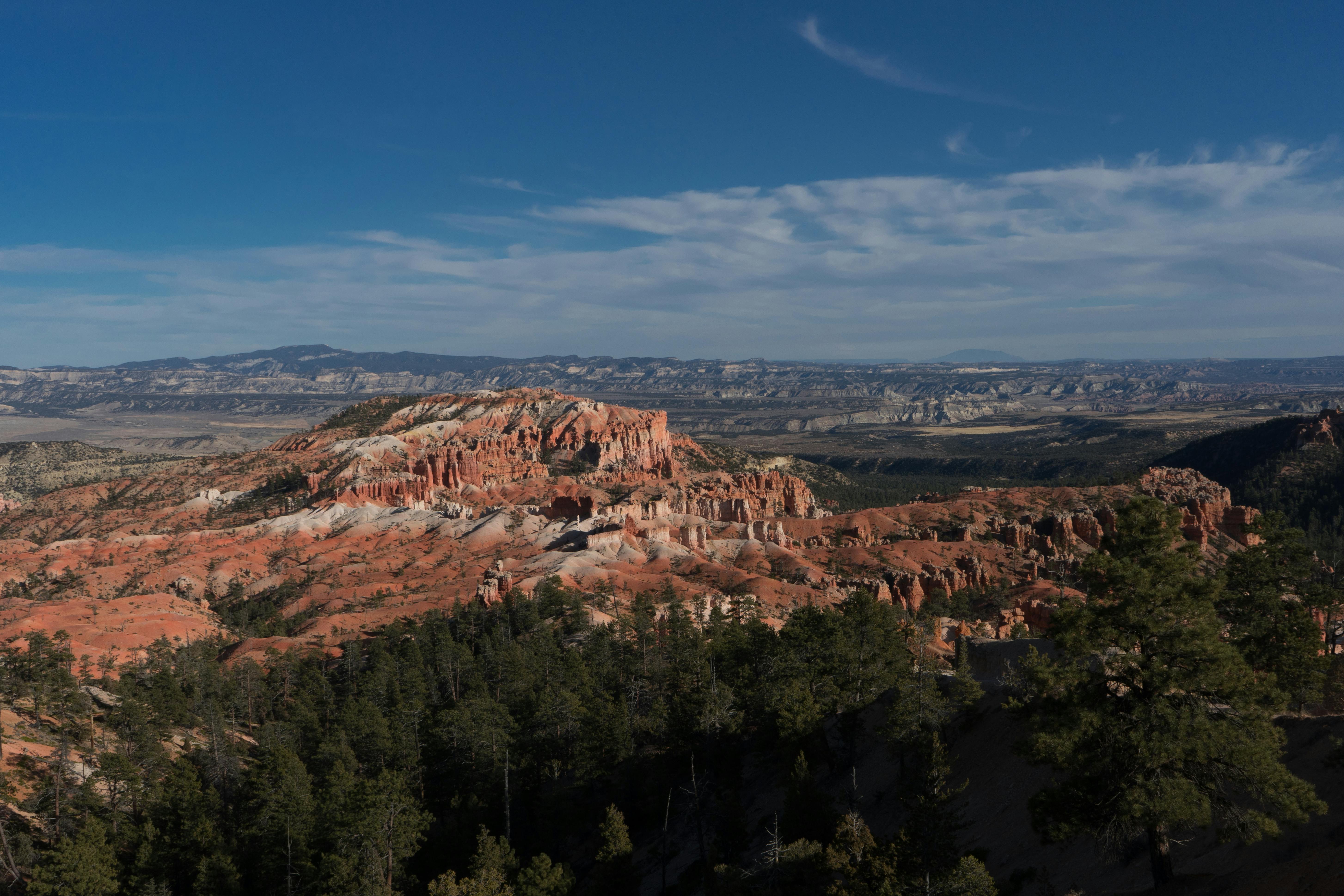 Captivating view of Bryce Canyon's red rock formations under a clear blue sky.