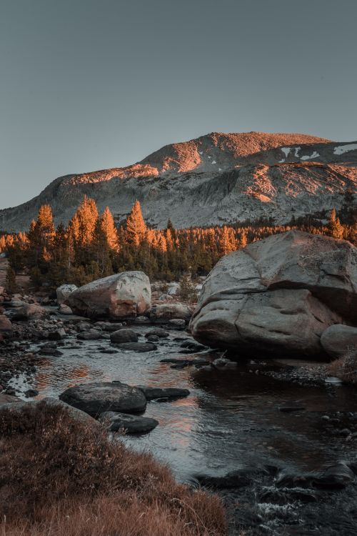 Free Peaceful mountain scene with a river, boulders, and pine trees during sunset. Stock Photo