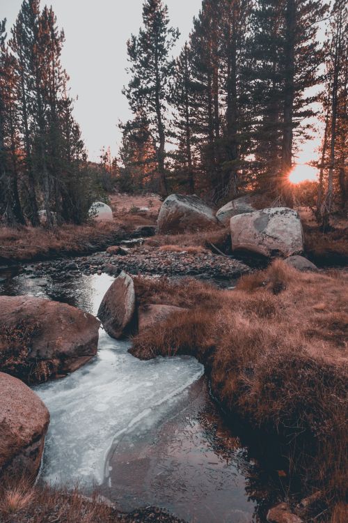 Free Scenic view of a frozen stream surrounded by coniferous forest during winter sunset in California. Stock Photo