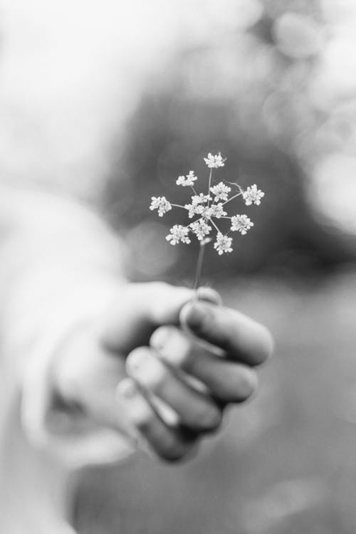 Grayscale Photo of a Person Holding Flowers