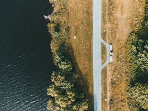 Immagine gratuita di alberi, astratto, campo