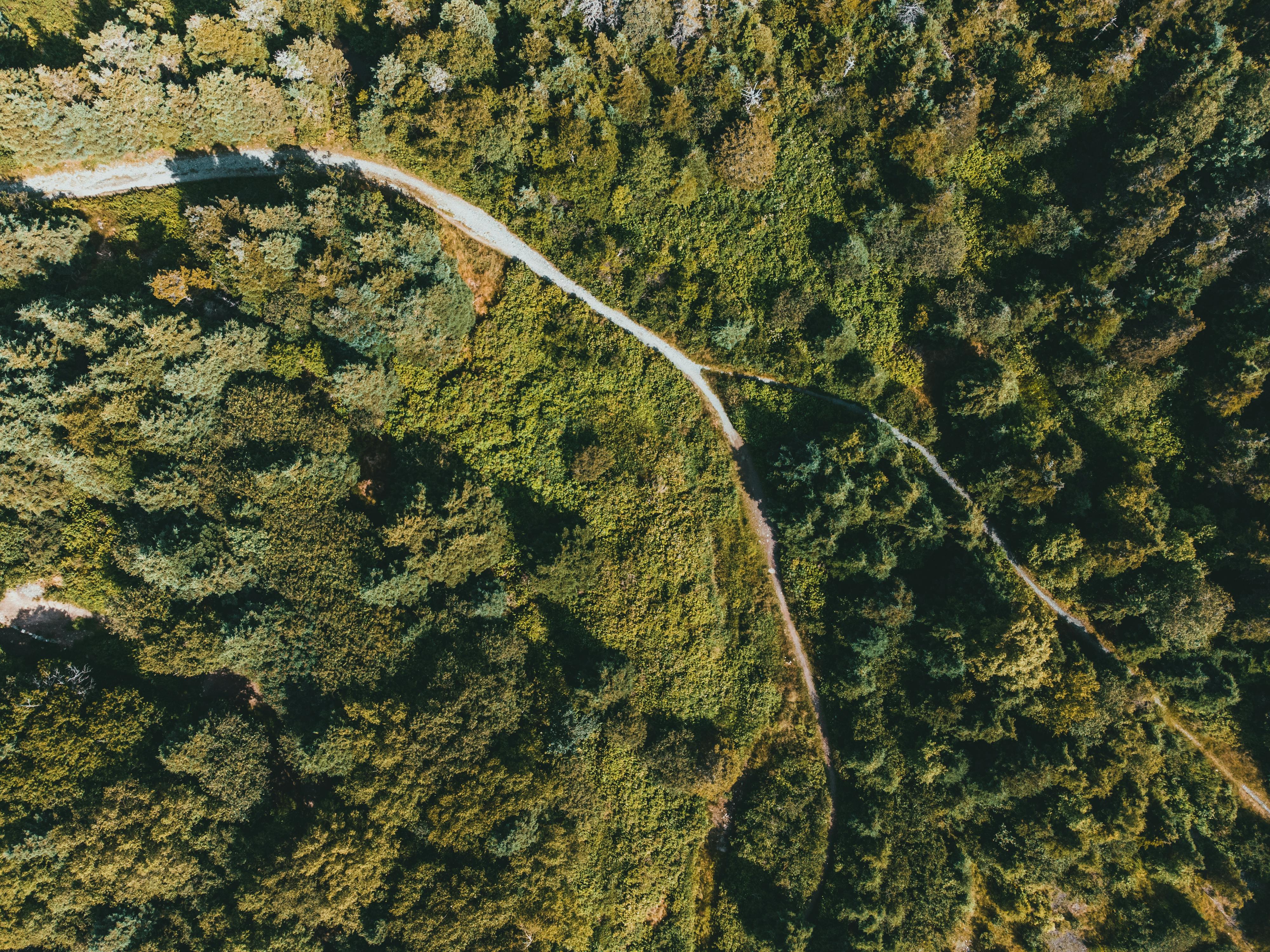 corporate governance esg governance part of esg — Photo by Erik Mclean on Pexels