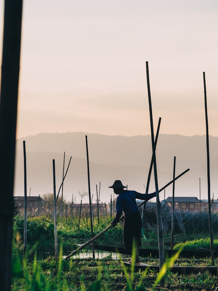 Silhouette Of A Person With A Stick Working