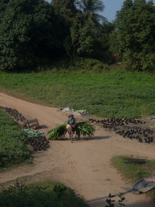 교차로, 농촌의, 비포장 도로의 무료 스톡 사진