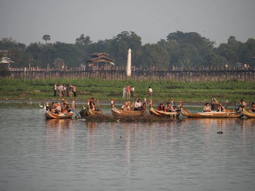免費 孟加拉國, 河, 湖 的 免費圖庫相片 圖庫相片