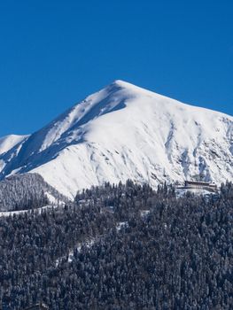 A scenic view of a snow-covered mountain peak in winter with clear blue skies, surrounded by pine woods.
