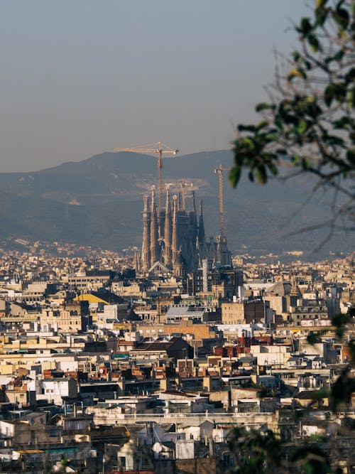 City Buildings Near Mountain