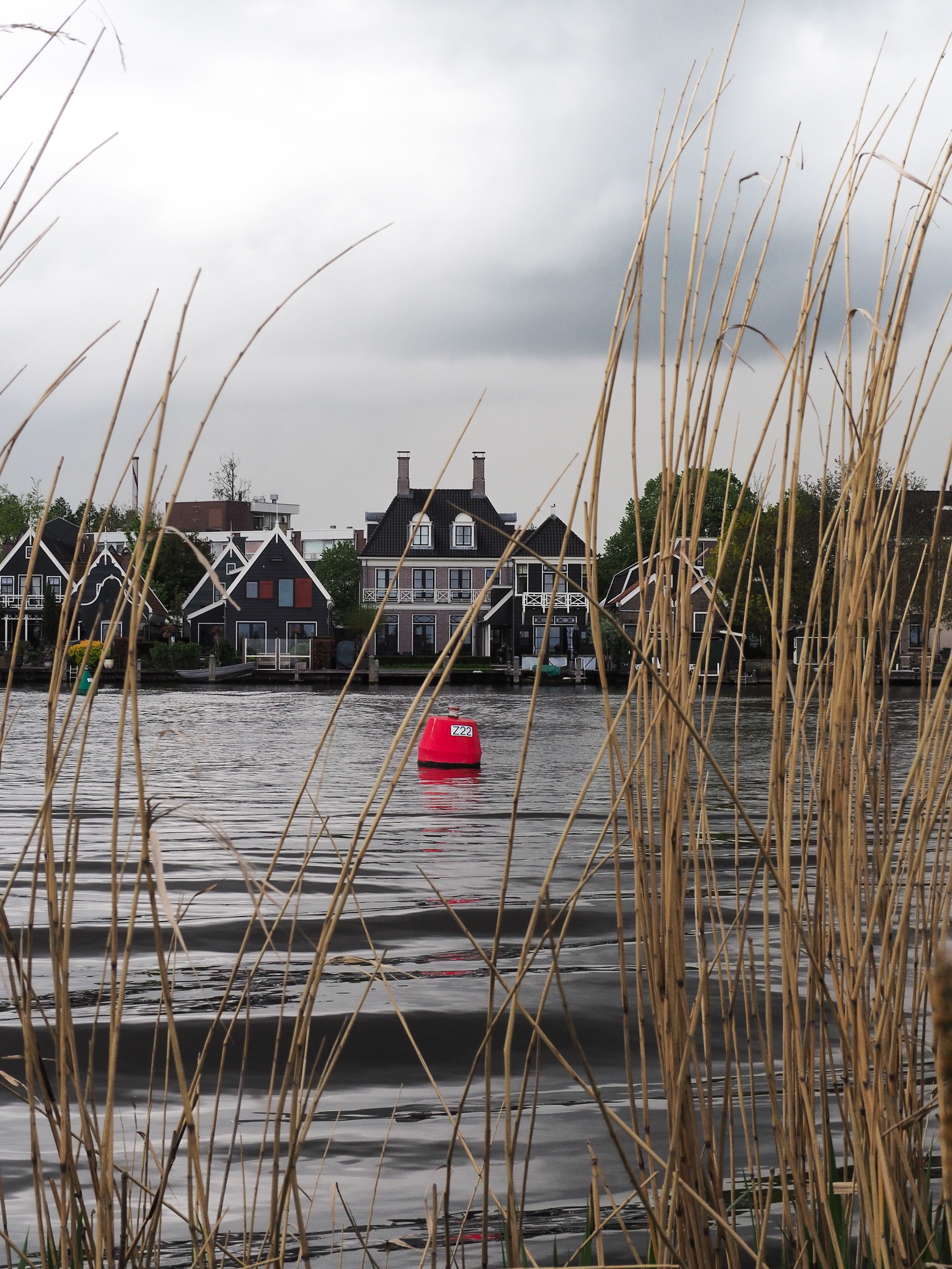 Gray Landscape with Red Buoy on a Lake