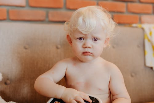 Základová fotografie zdarma na téma albín, bez trička, detail