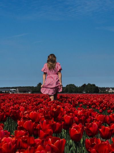 Tulip & bulb crafts