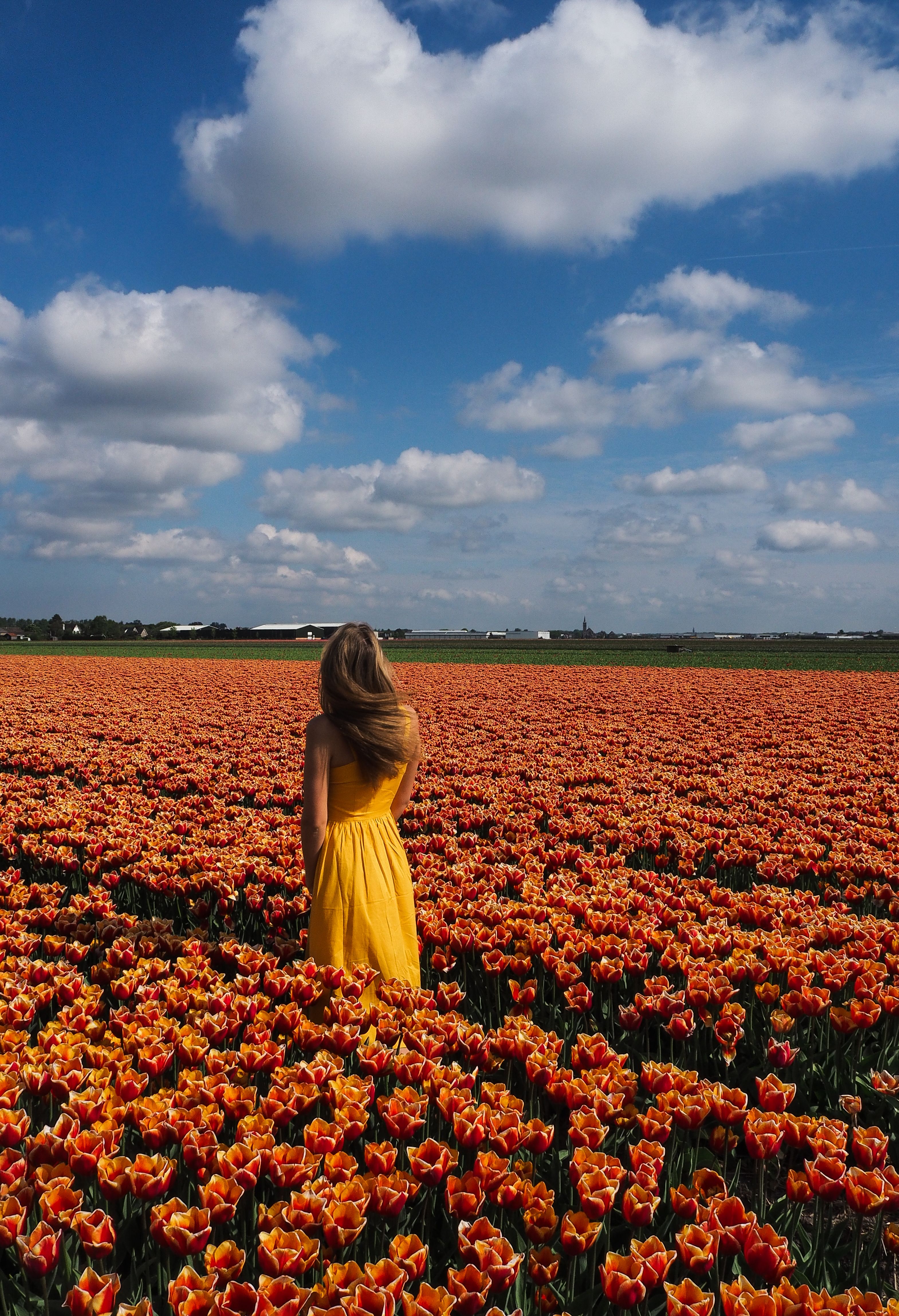 A Woman in Yellow Dress Standing on Yellow Flower Field · Free Stock Photo