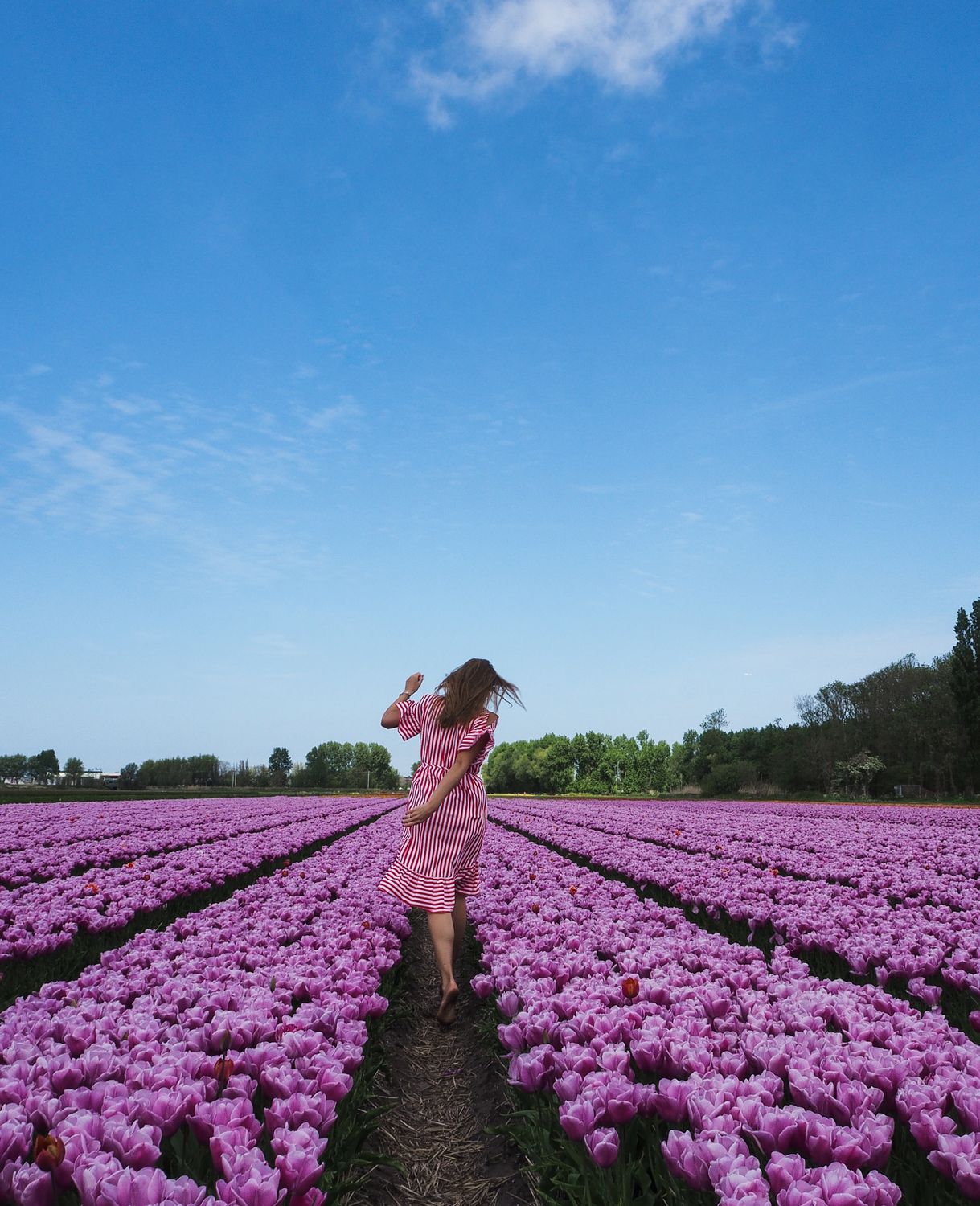 A Back View of a Woman Walking on a Flower Field · Free Stock Photo