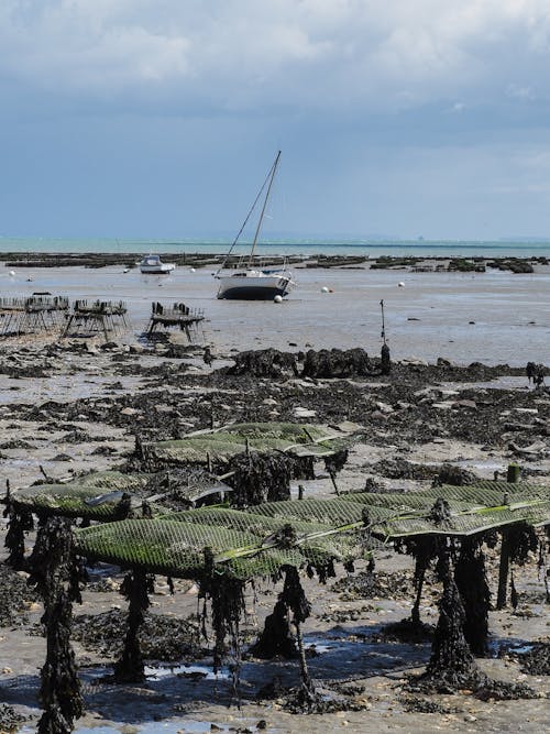 Fishing Nets on Shore during Low Tide