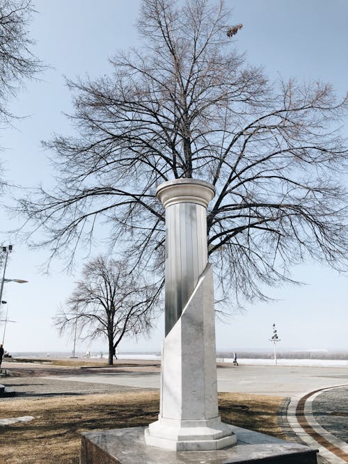 Fotos de stock gratuitas de árbol, columna, Monumento