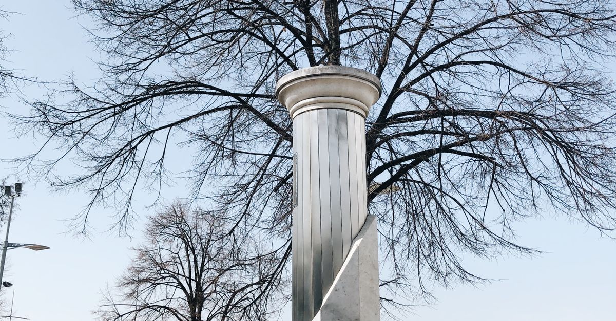 Tree Looking Column Column and Tree with Bare Branches · Free Stock Photo