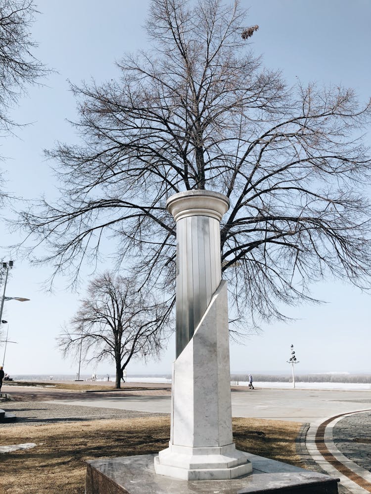 Column And Tree With Bare Branches