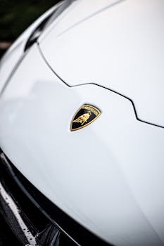 Close-up of Lamborghini emblem on the white hood of a luxury sports car.