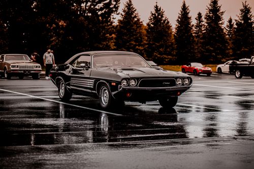 Free Black vintage car in a wet parking lot, surrounded by trees and classic vehicles under a moody sky. Stock Photo
