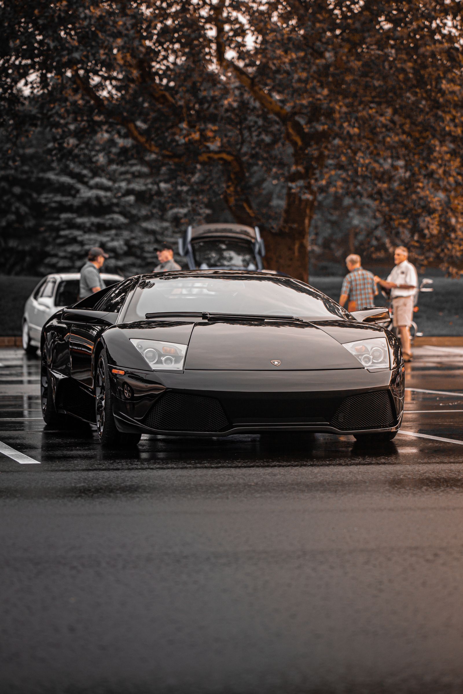 Black Lamborghini on a rainy street