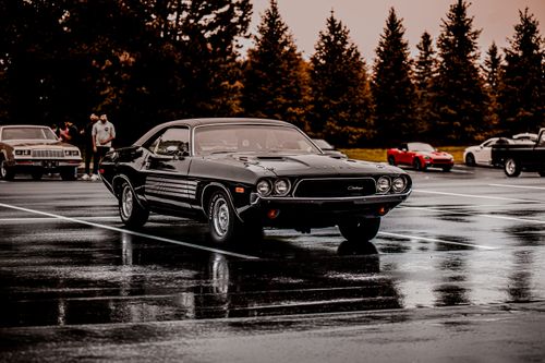 Free Vintage black Challenger parked on wet pavement with trees and cars in the background, under an overcast sky. Stock Photo
