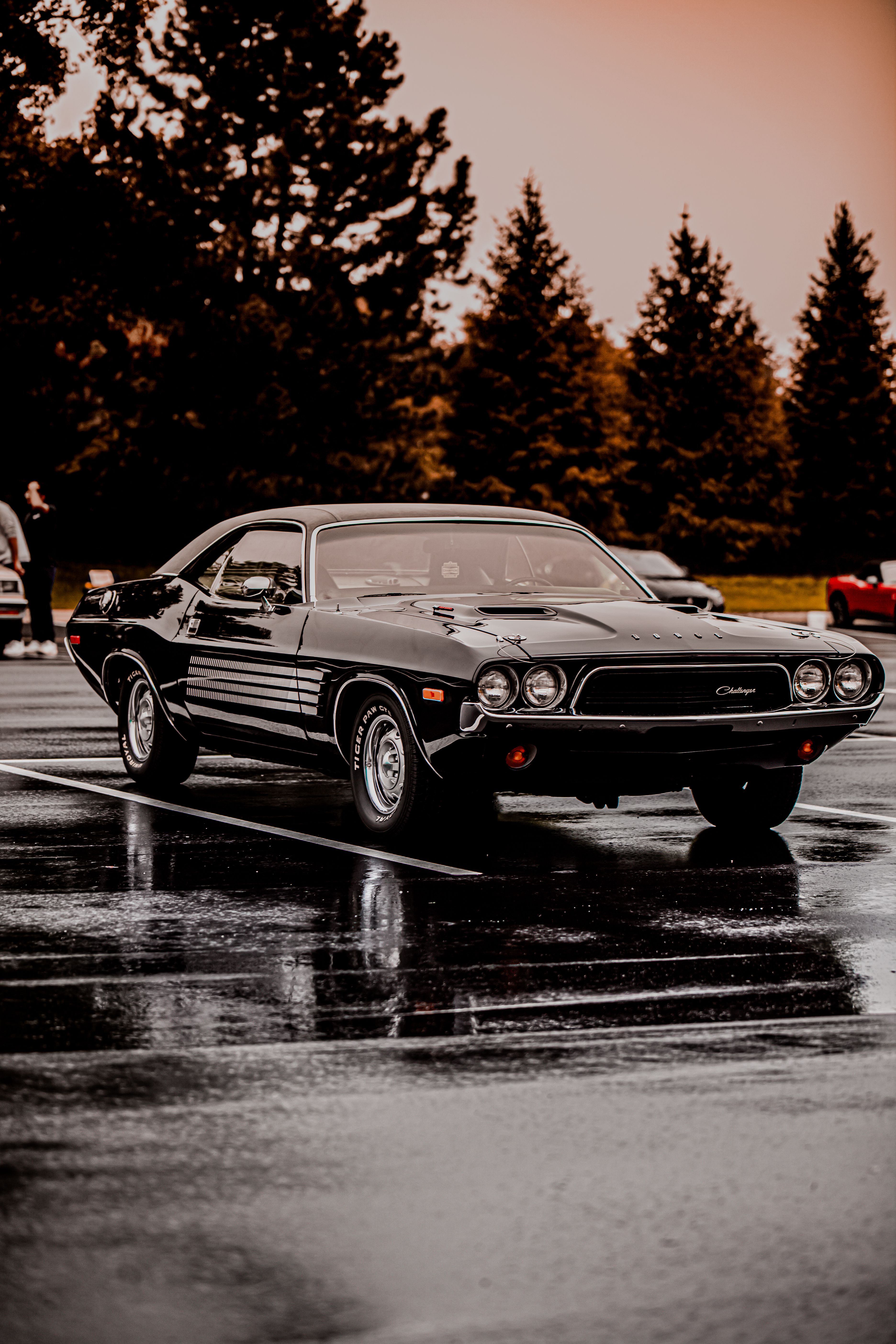 Classic Dodge Challenger parked outdoors on a rainy day with reflections on wet asphalt.