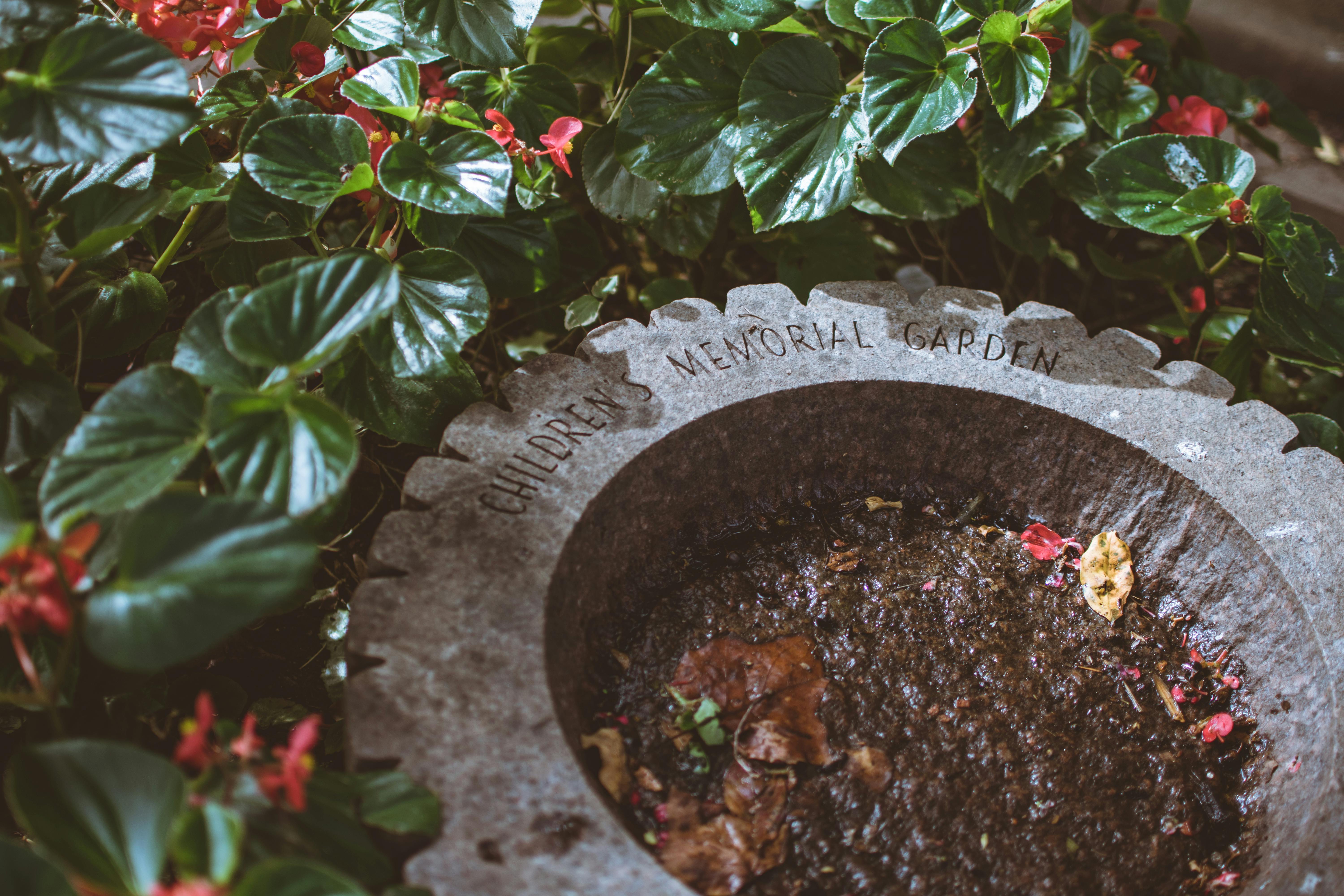 Children's Memorial Garden · Free Stock Photo