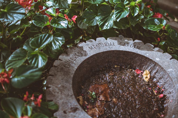 Children's Memorial Garden