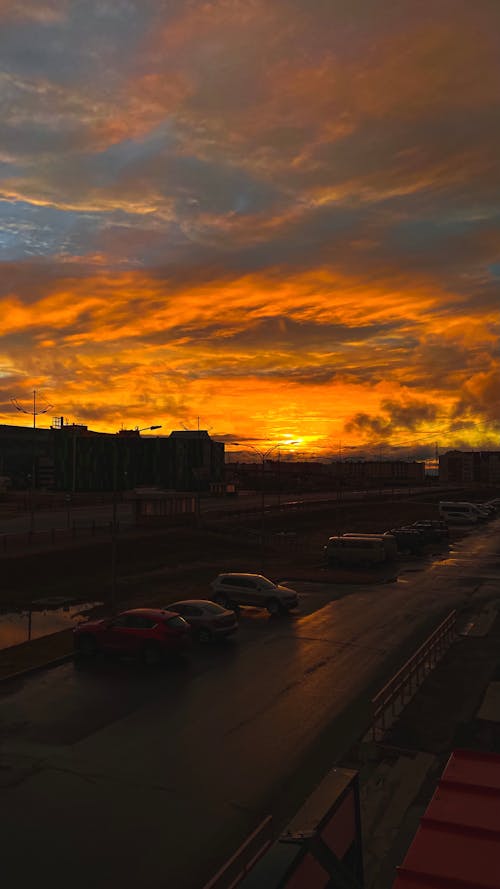 Cars on Road during Sunset