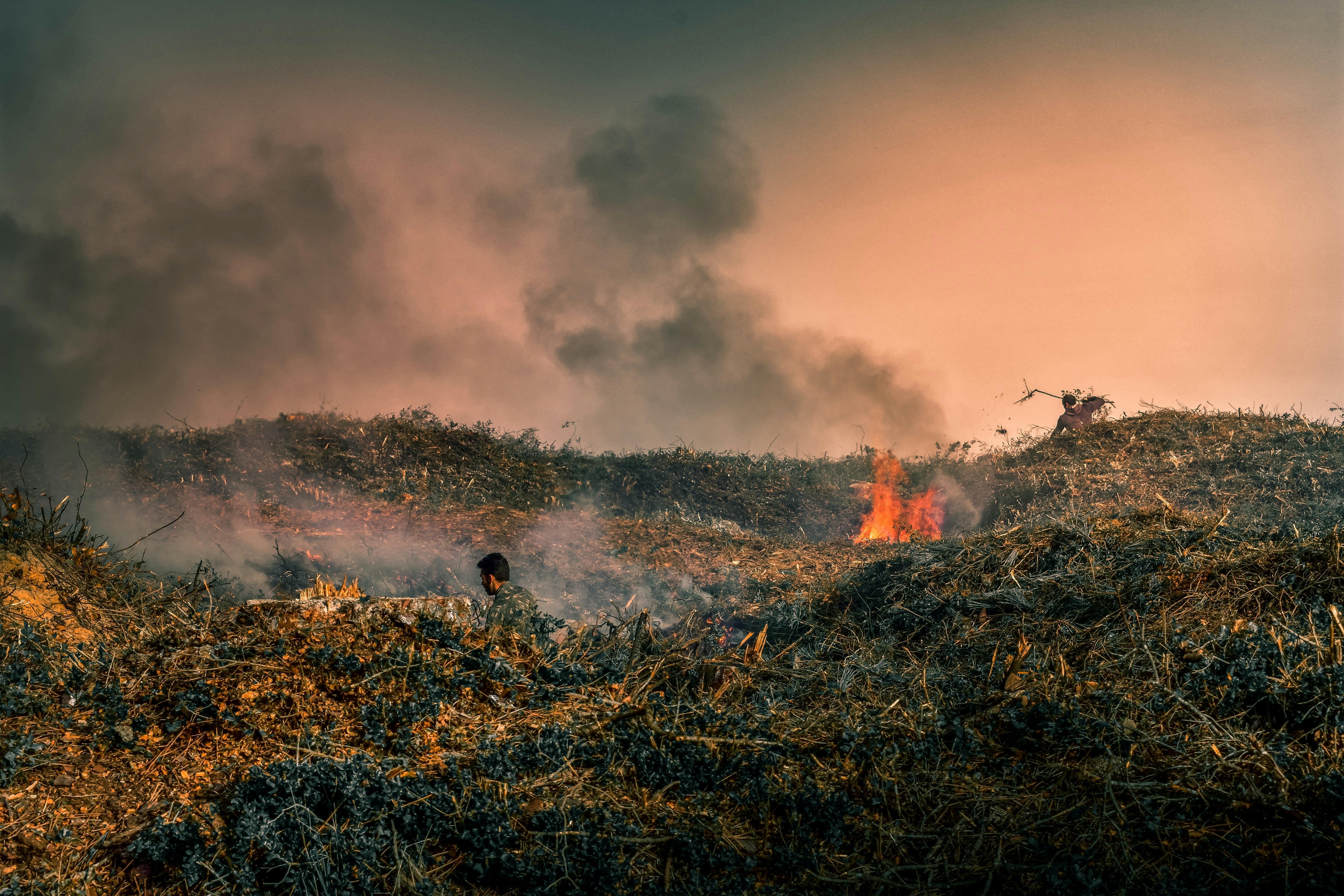 fire in countryside