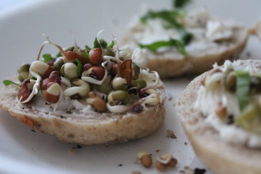 Organic Sprouted Grain Bread