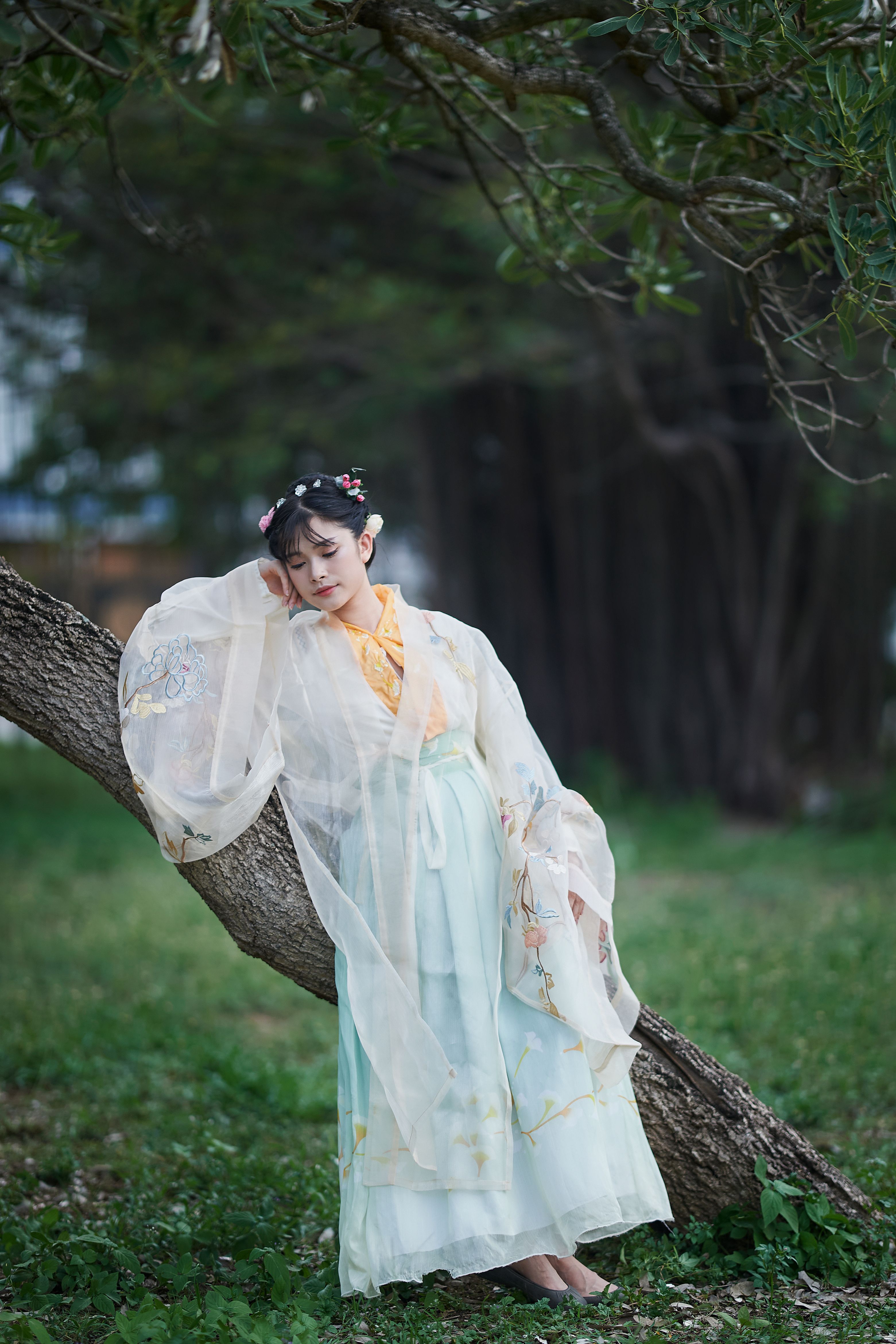 Young Woman in Traditional Dress Outdoors · Free Stock Photo