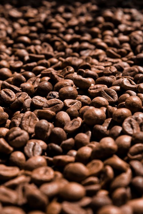 Free High-resolution close-up of aromatic roasted coffee beans with natural lighting. Stock Photo