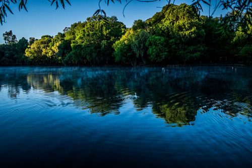 Free stock photo of camecuaro, daylight, environment Stock Photo