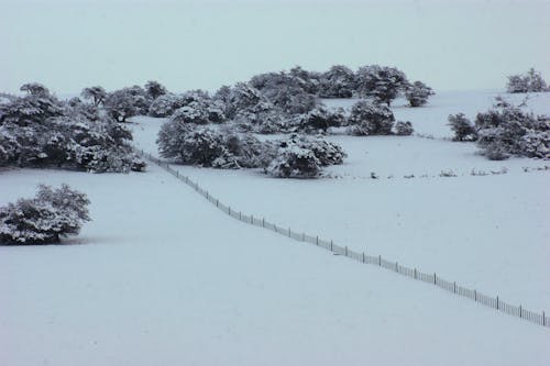 Free 冬季, 冷, 大雪覆盖 的 免费素材图片 Stock Photo