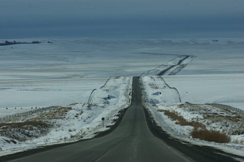 冬, 地平線, 旅行先の無料の写真素材