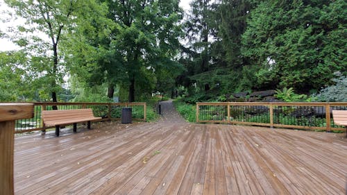 Free stock photo of backyard, bench, boards Stock Photo