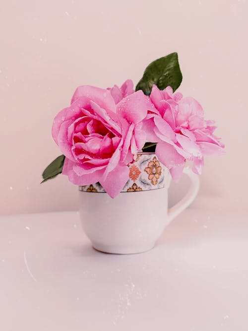 Foto profissional grátis de caneca de cerâmica, fotografia de flores, pétalas