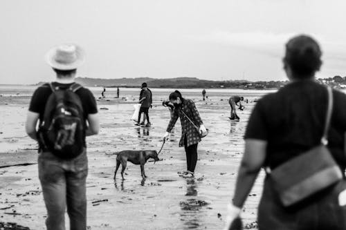 Grayscale Photo of People Cleaning the Seashore