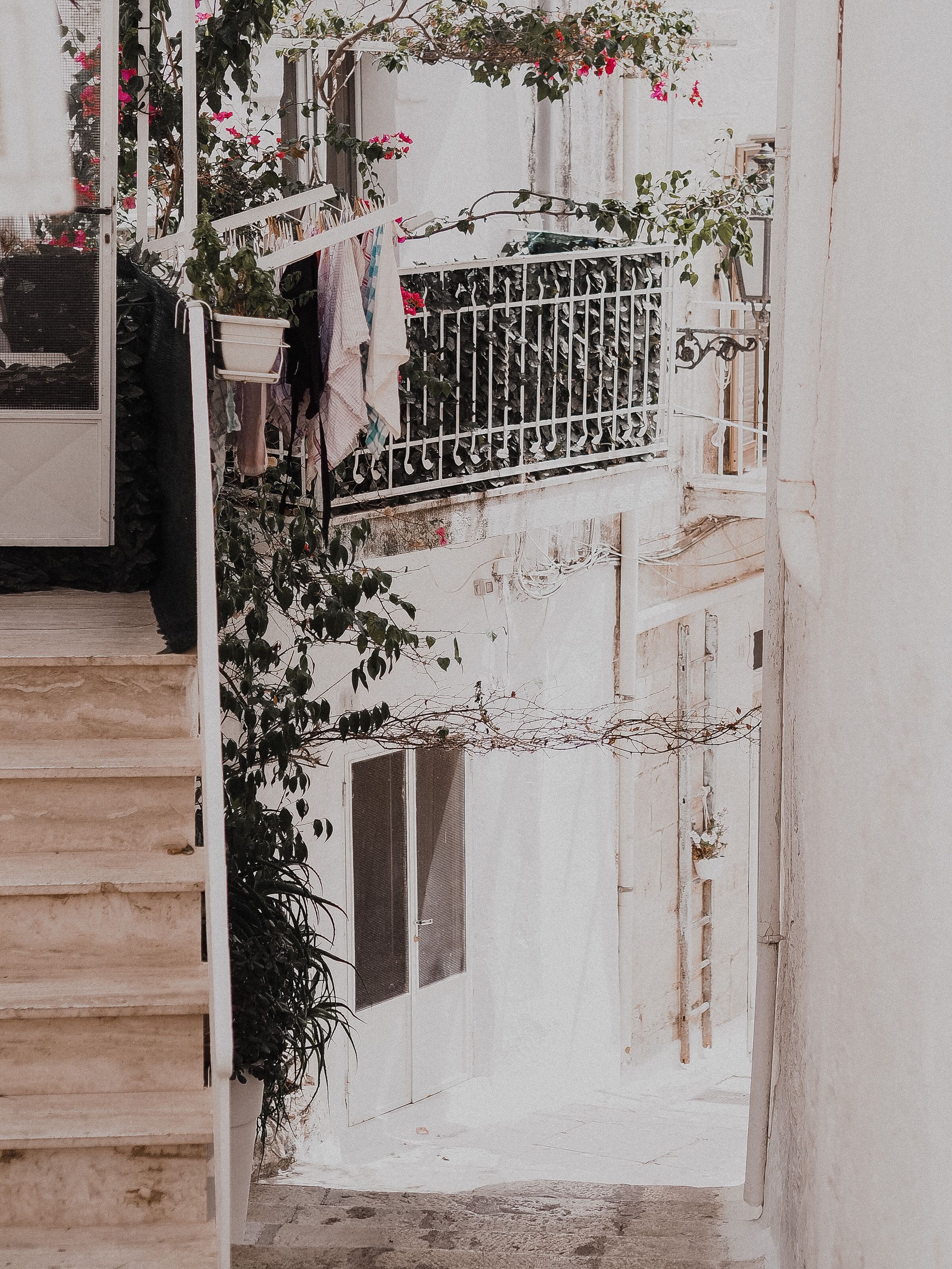 Steps to House in Forest · Free Stock Photo