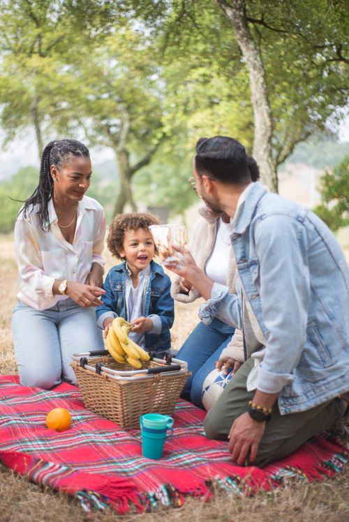 Free A joyous family picnic in a sunny park captures moments of love and togetherness. Stock Photo